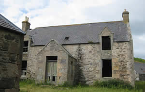 Potential bat habitat, abandoned house
