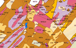 NVC Survey Map