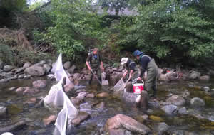 Catching fish for survey
