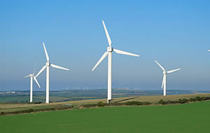 Windfarm